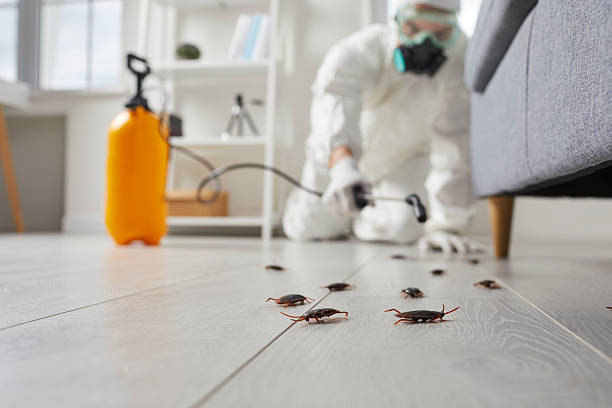 Commercial Kitchen Cockroach Control in Harrison
